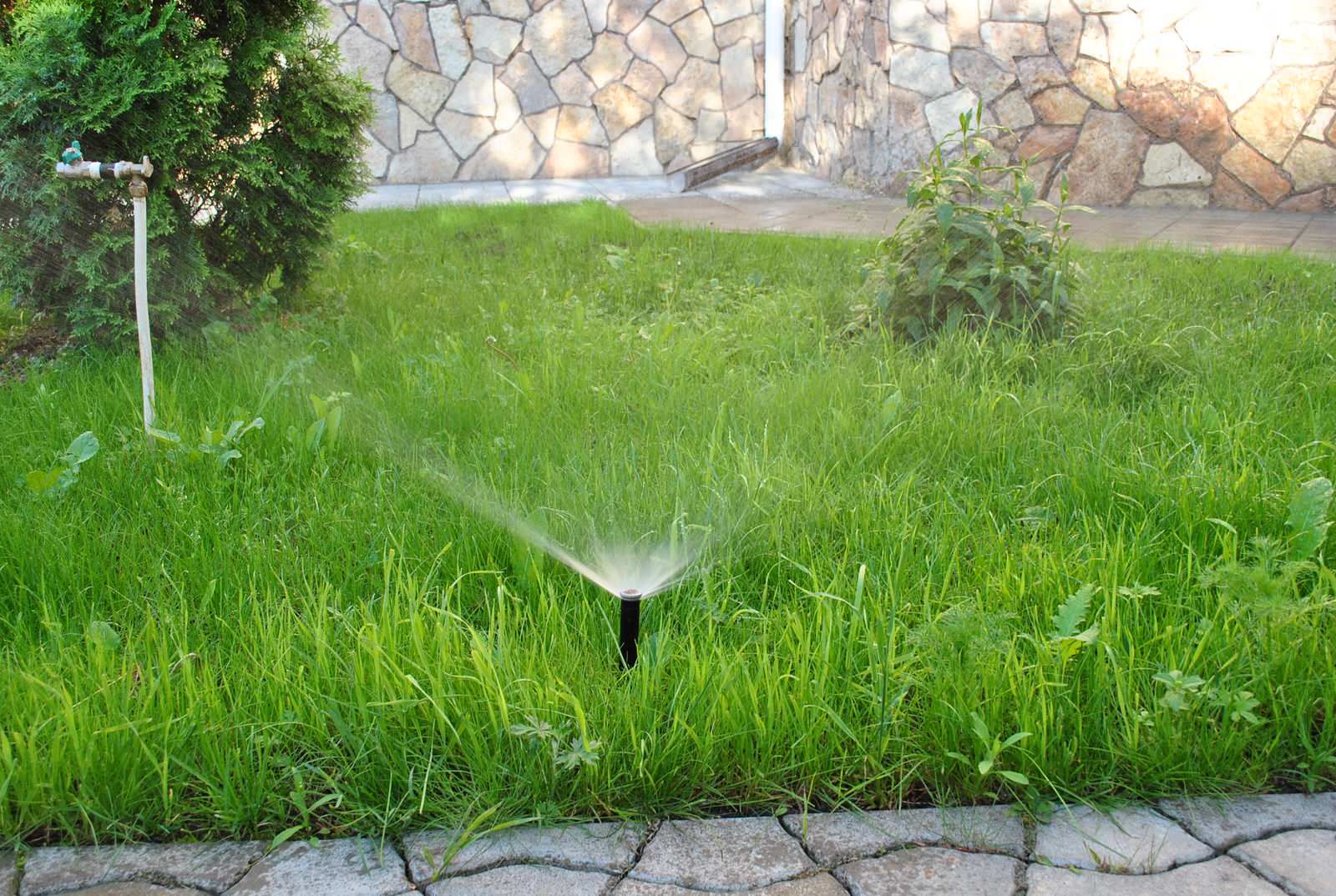 Автоматический полив в Москвоской области