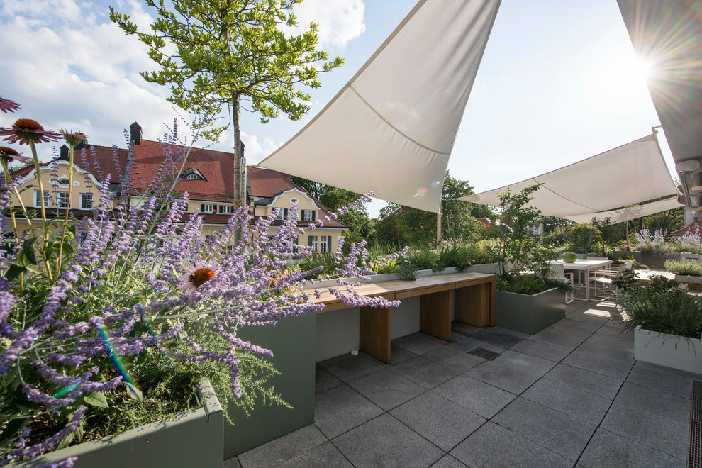 Проект недели: Озеленение террасы на крыше в Мюнхене