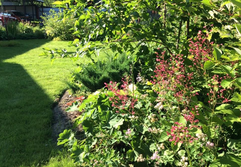 САДИК НА ЛАДОШКЕ 2016