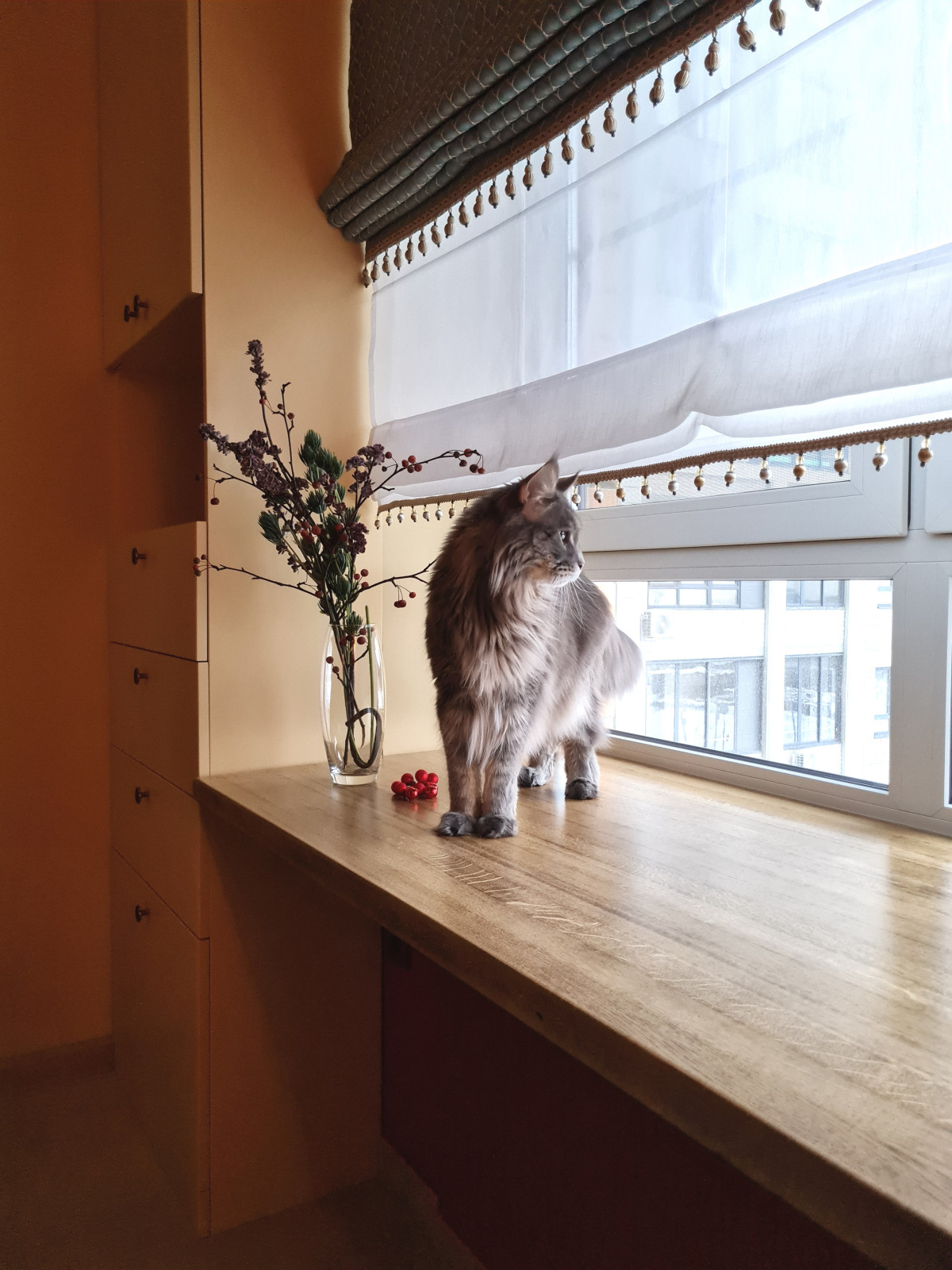 Квартира на ул. Разведчика Абеля (проект и реализация)