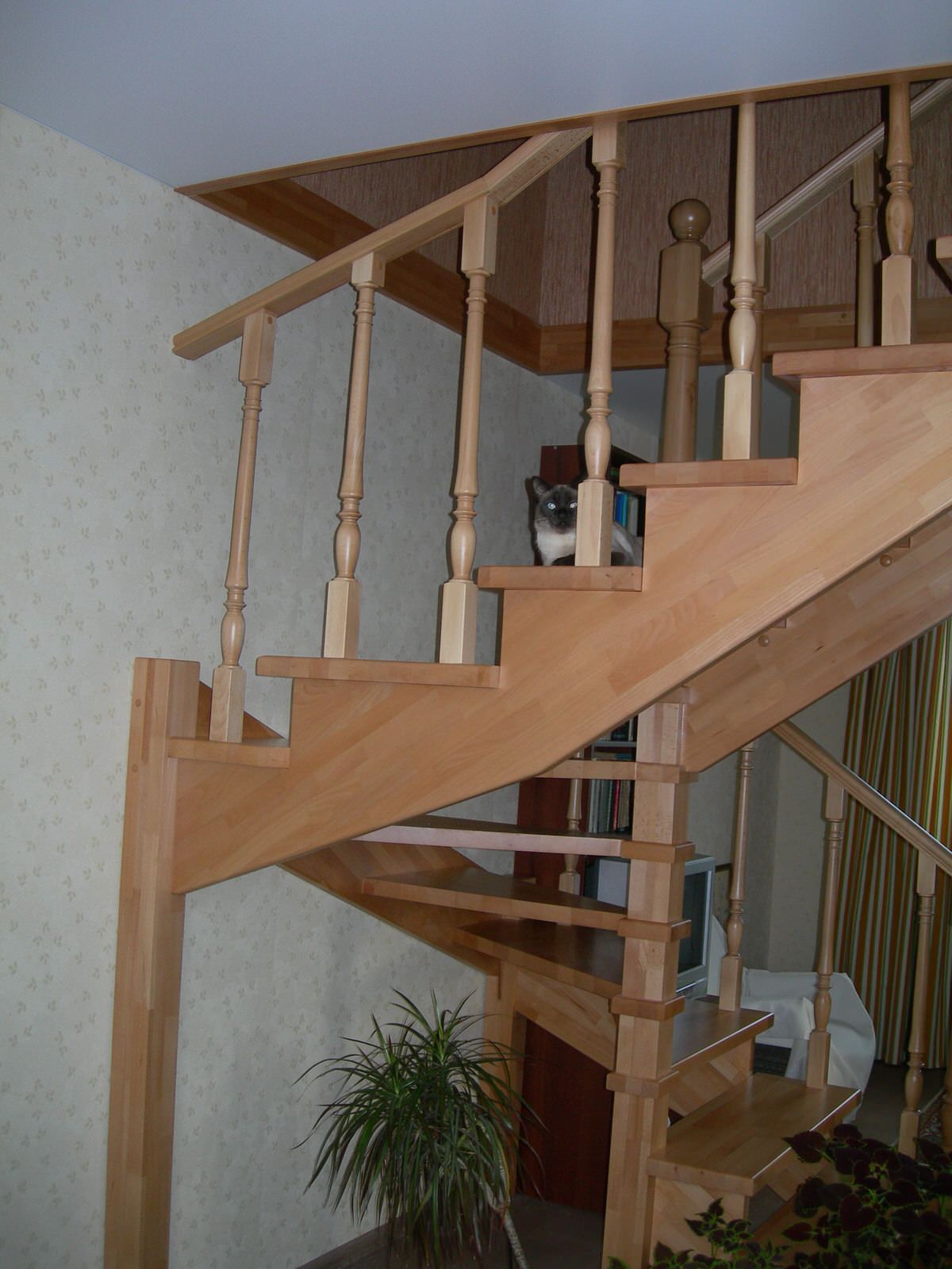 Лестница в дачном доме из дерева бук. Самара пос.Сырейка