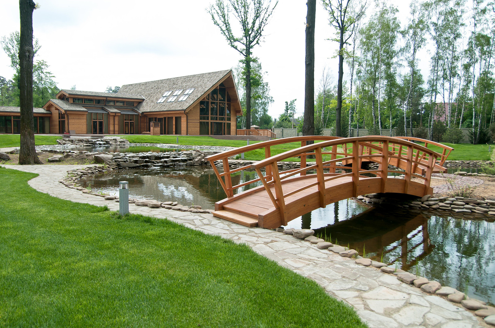 Обложка альбома: Дерево