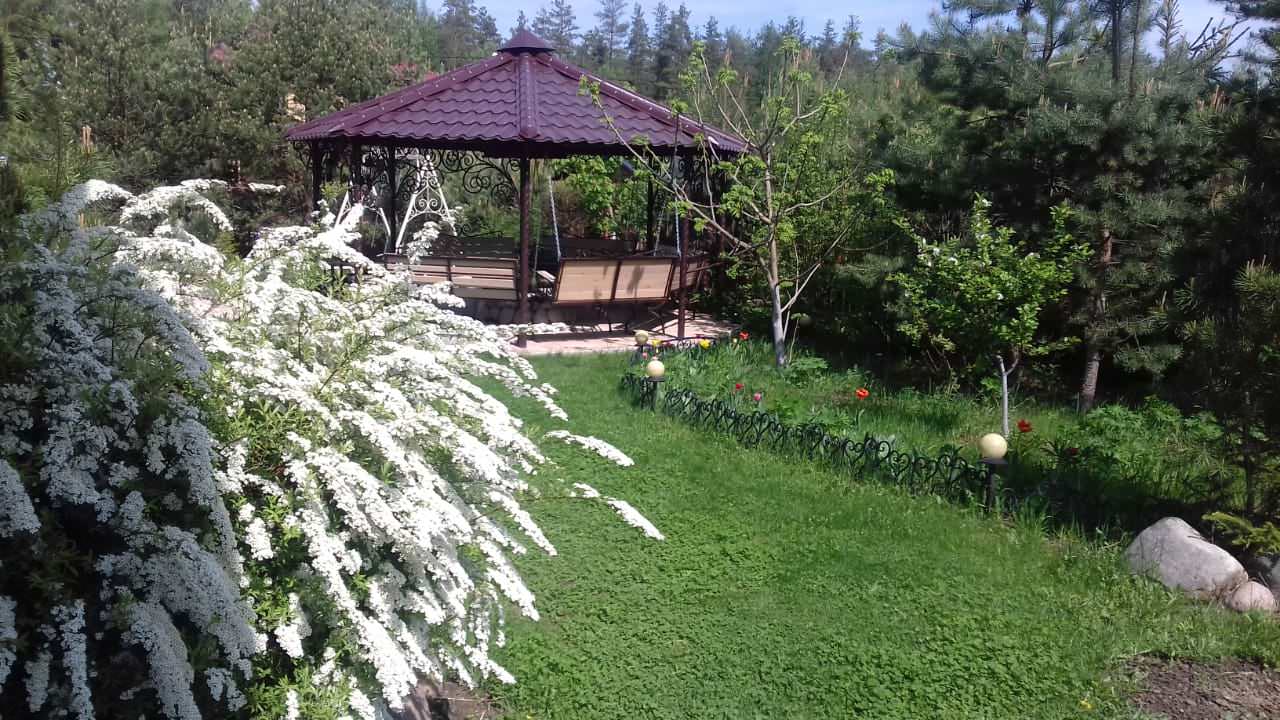 Дизайн участка "Добрая сказка". Этапы становления.