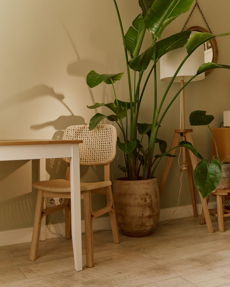 Озеленение квартиры-студии