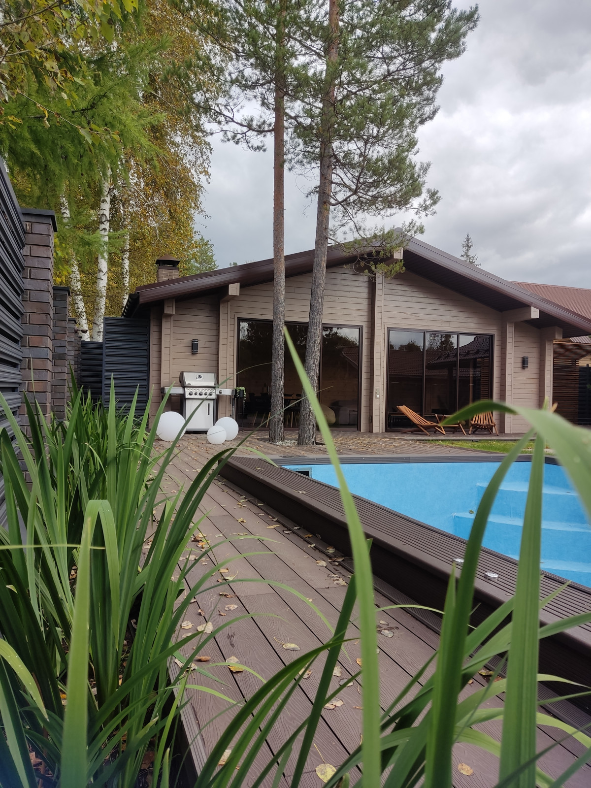 Денис Светлый Яр