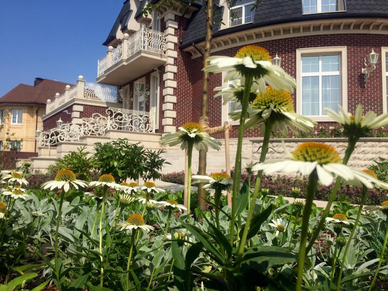 "Витражи". Серебряная медаль конкурса "Ландшафтная осень-2016"