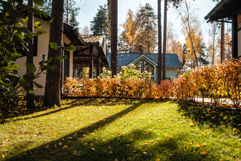 У леса на опушке