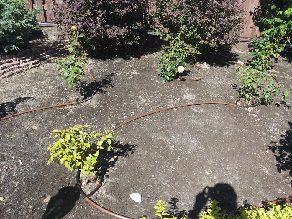 Зачем вам: Капельный полив на участке