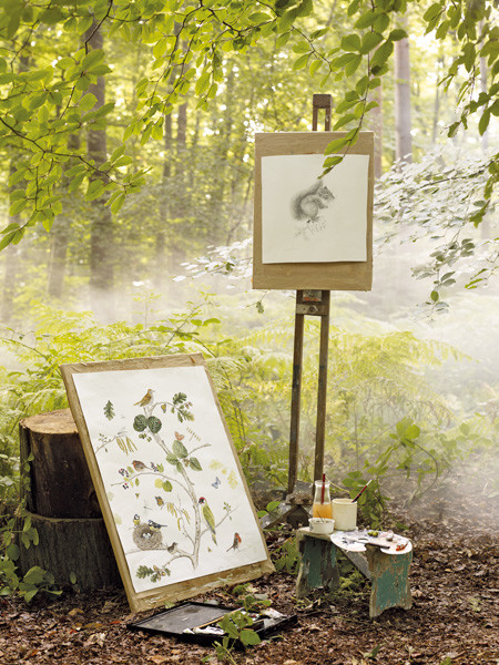 Woodland от Sanderson