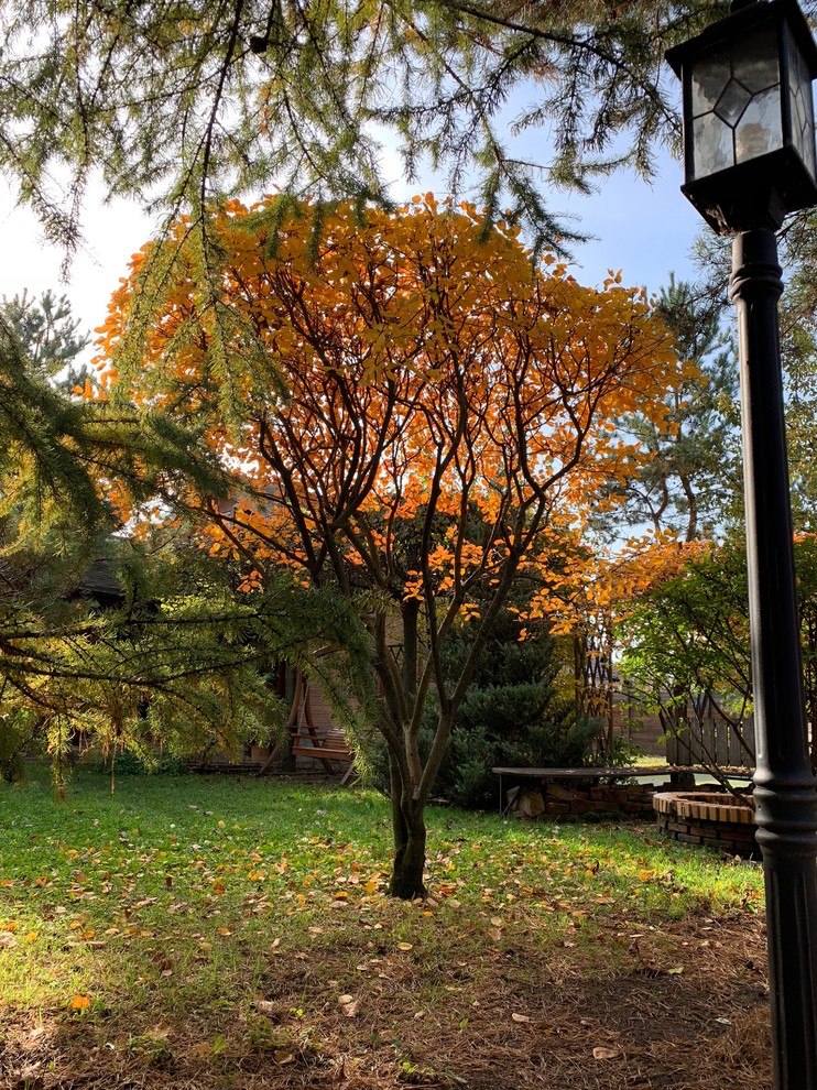 Буйство красочных форм в осеннем саду