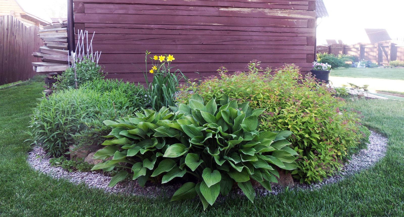 Цветники и композиции