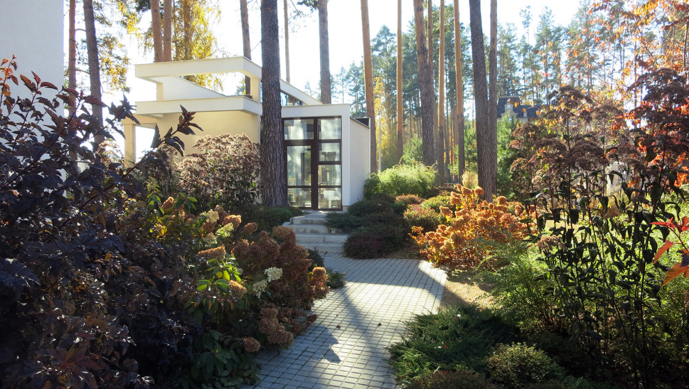 Маленький сад между большими соснами.