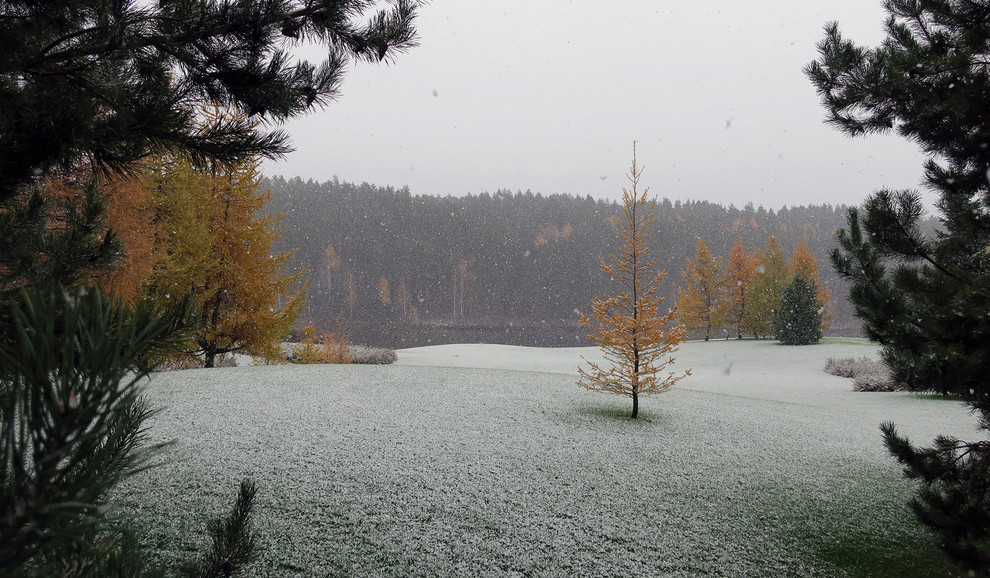 Новый пейзаж