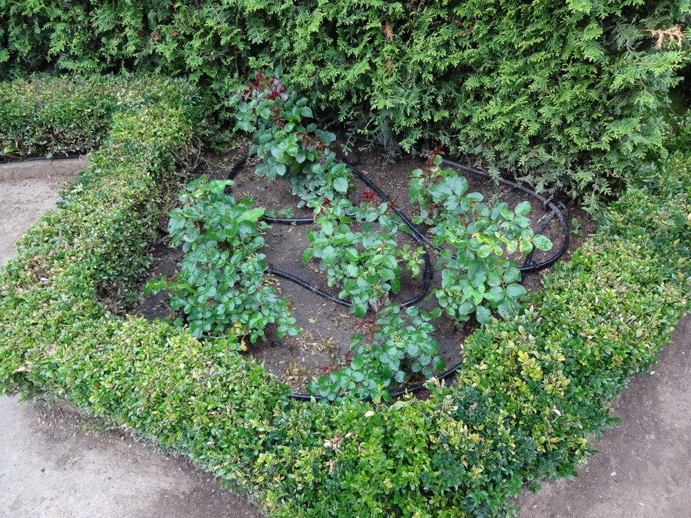 Обложка альбома: Автоматический полив