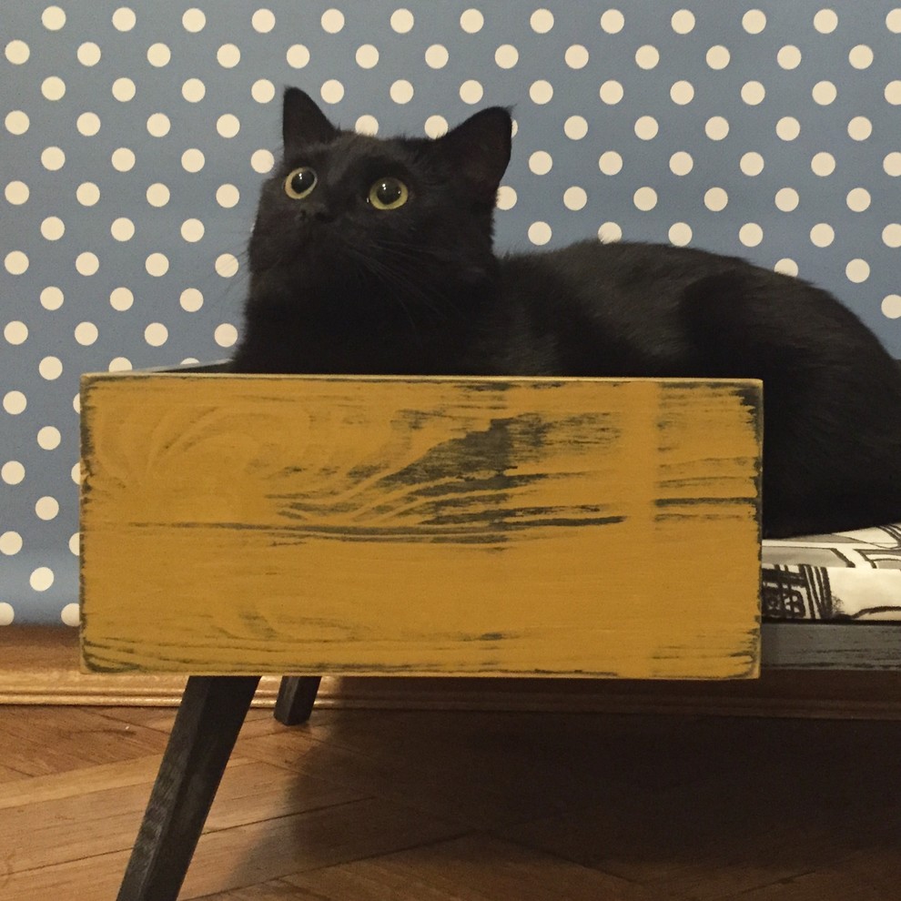 Портрет: Мебель для хвостатых питомцев от Pettel Design