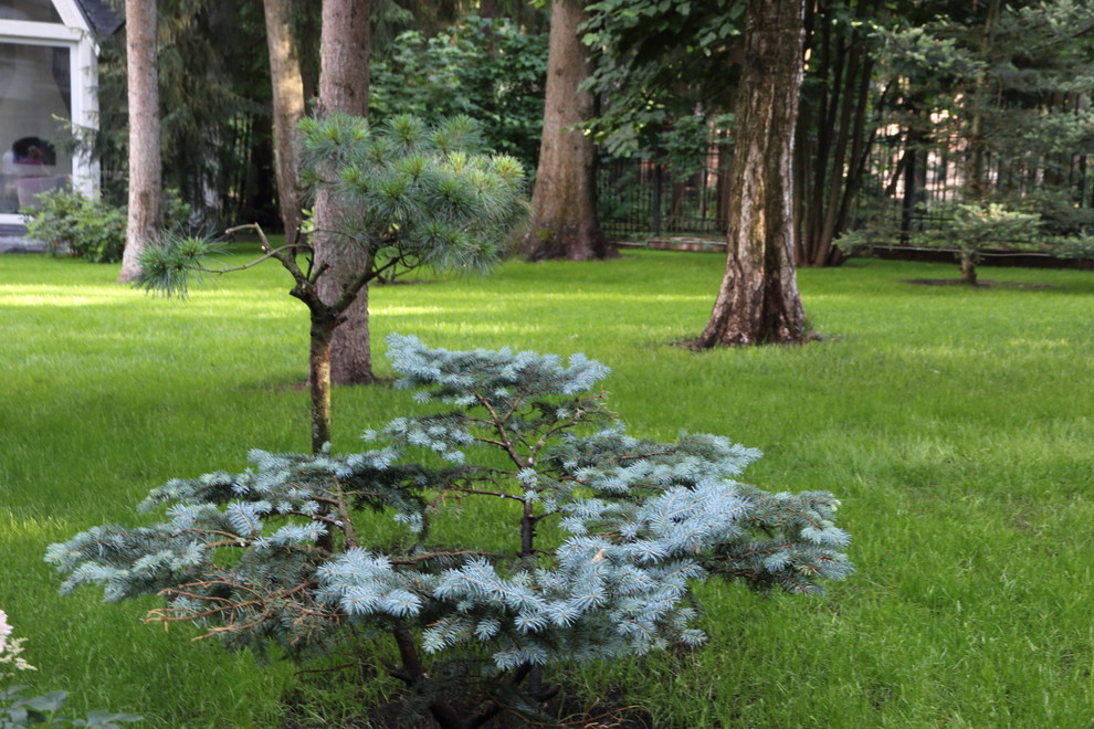 Коттеджный поселок. Руза