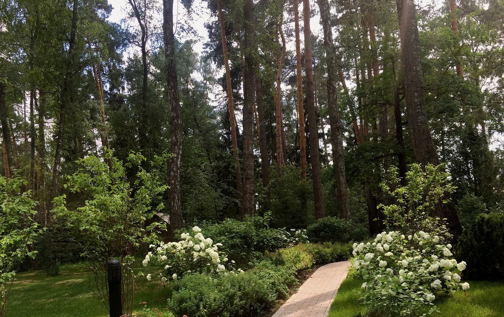 Обложка проекта: снегири