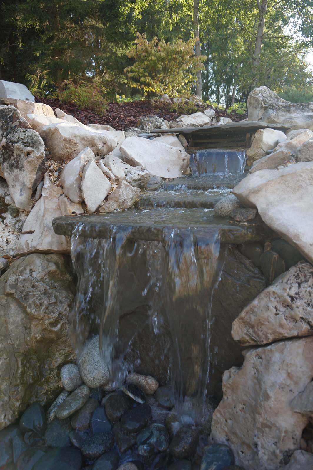 Зимний сад.