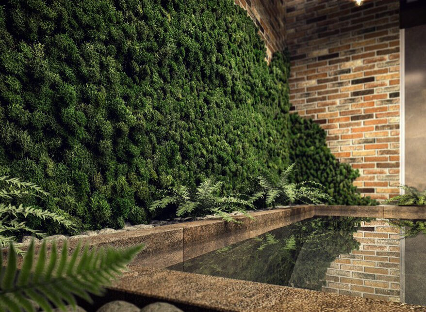 Анастасия Мишанова