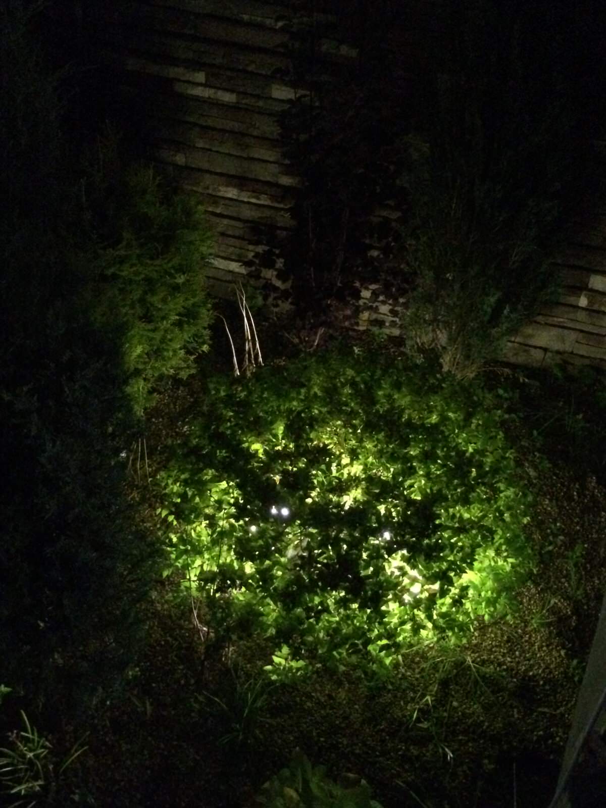 Обложка альбома: Находки светодизайера - правильное наружное освещение, светодизайн