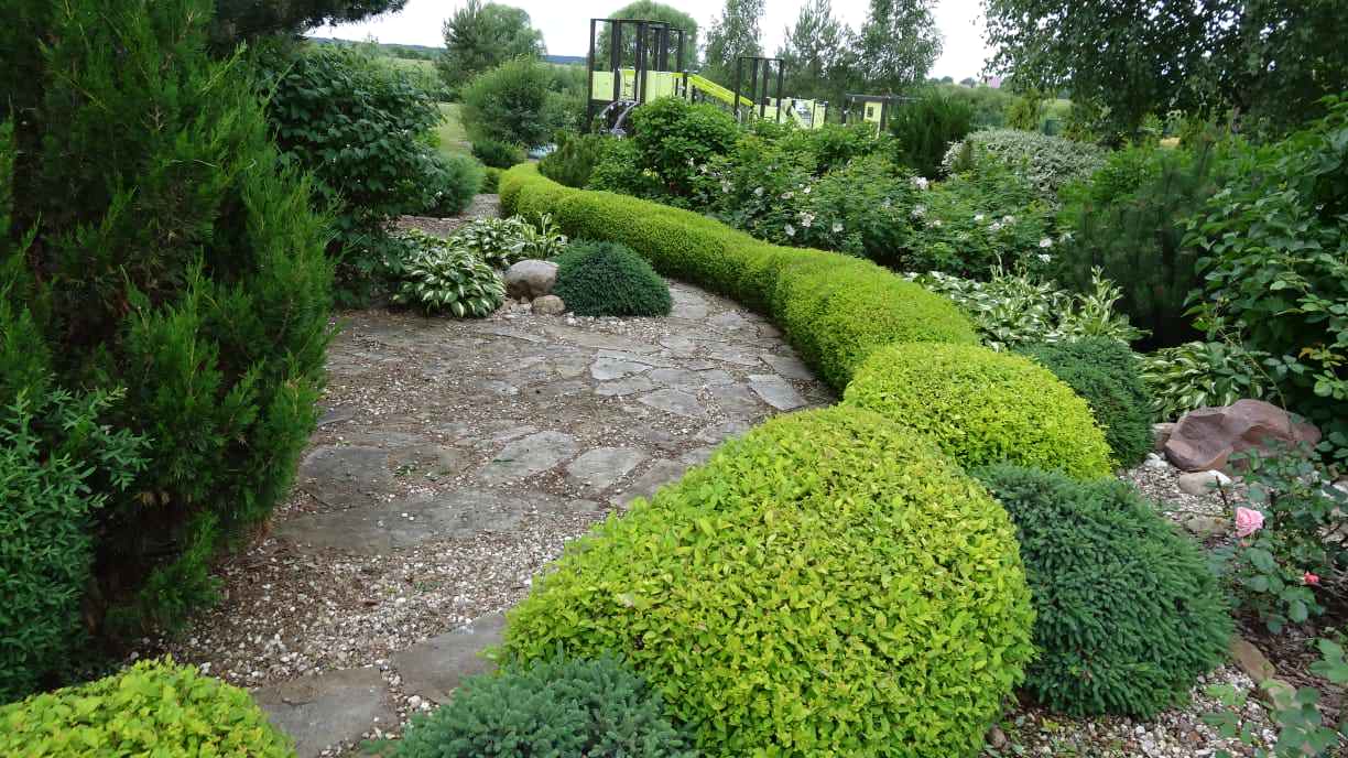 Примеры работ