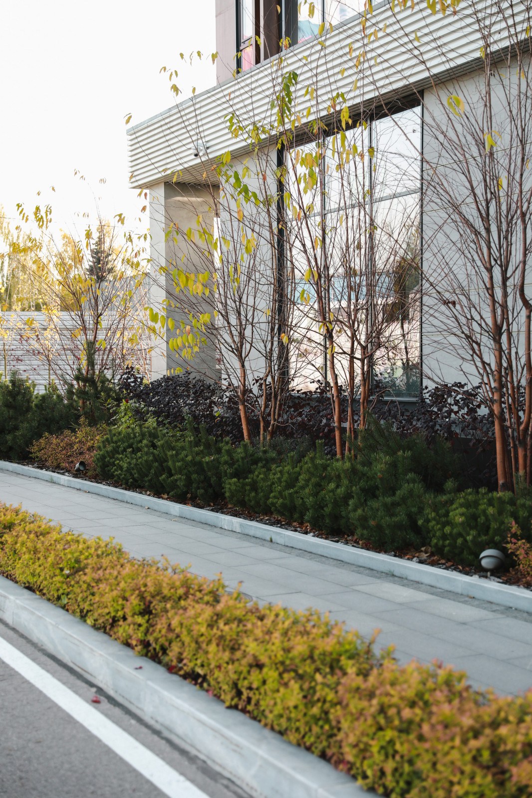 Оформление территории у офисного здания