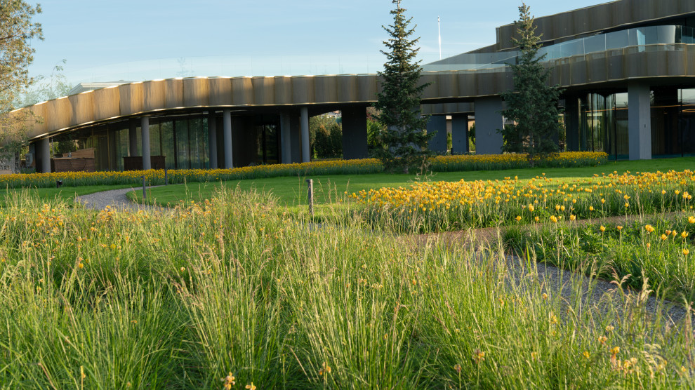 Природный сад. Жуковка XXI век. 2017-2018 гг.