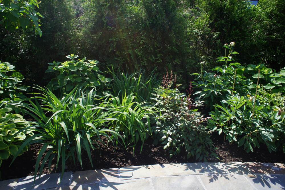 Как правильно: Устроить цветник… на картоне