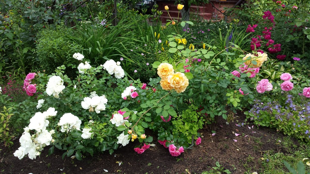 Любимый сад