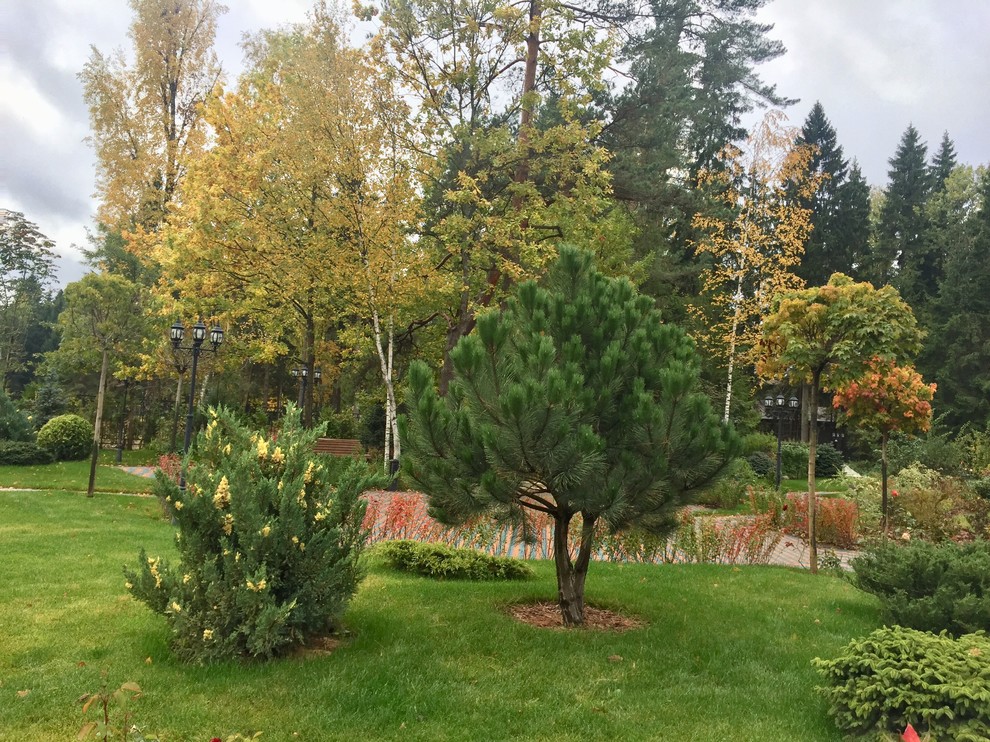 Графские пруды КП