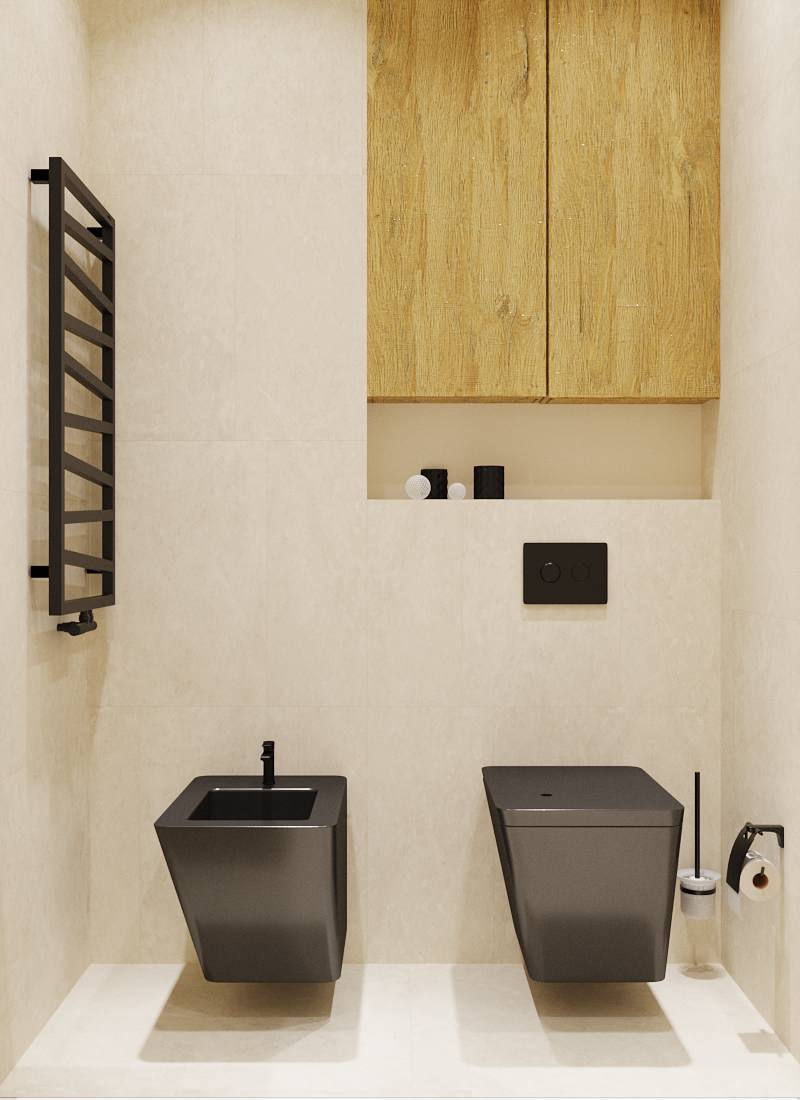 Проект Джапанди