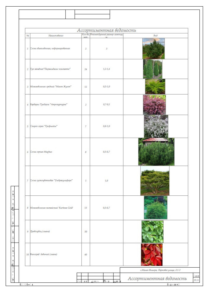 Малая Вишера. Ландшафтный проект