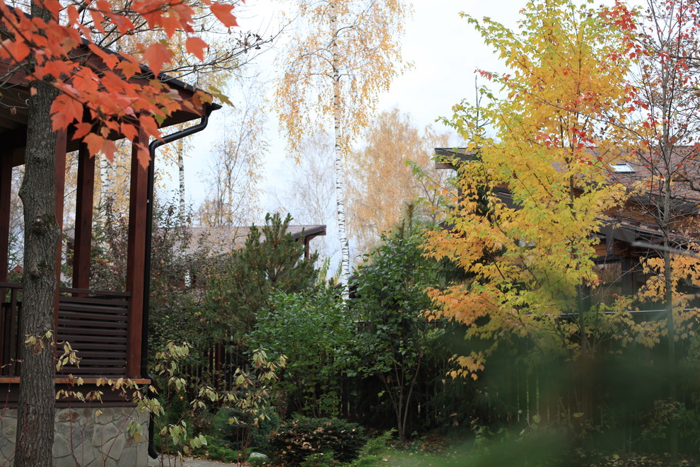 Обложка проекта: "Березовая роща". Сад в Чеховском районе Московской области, 10 соток.