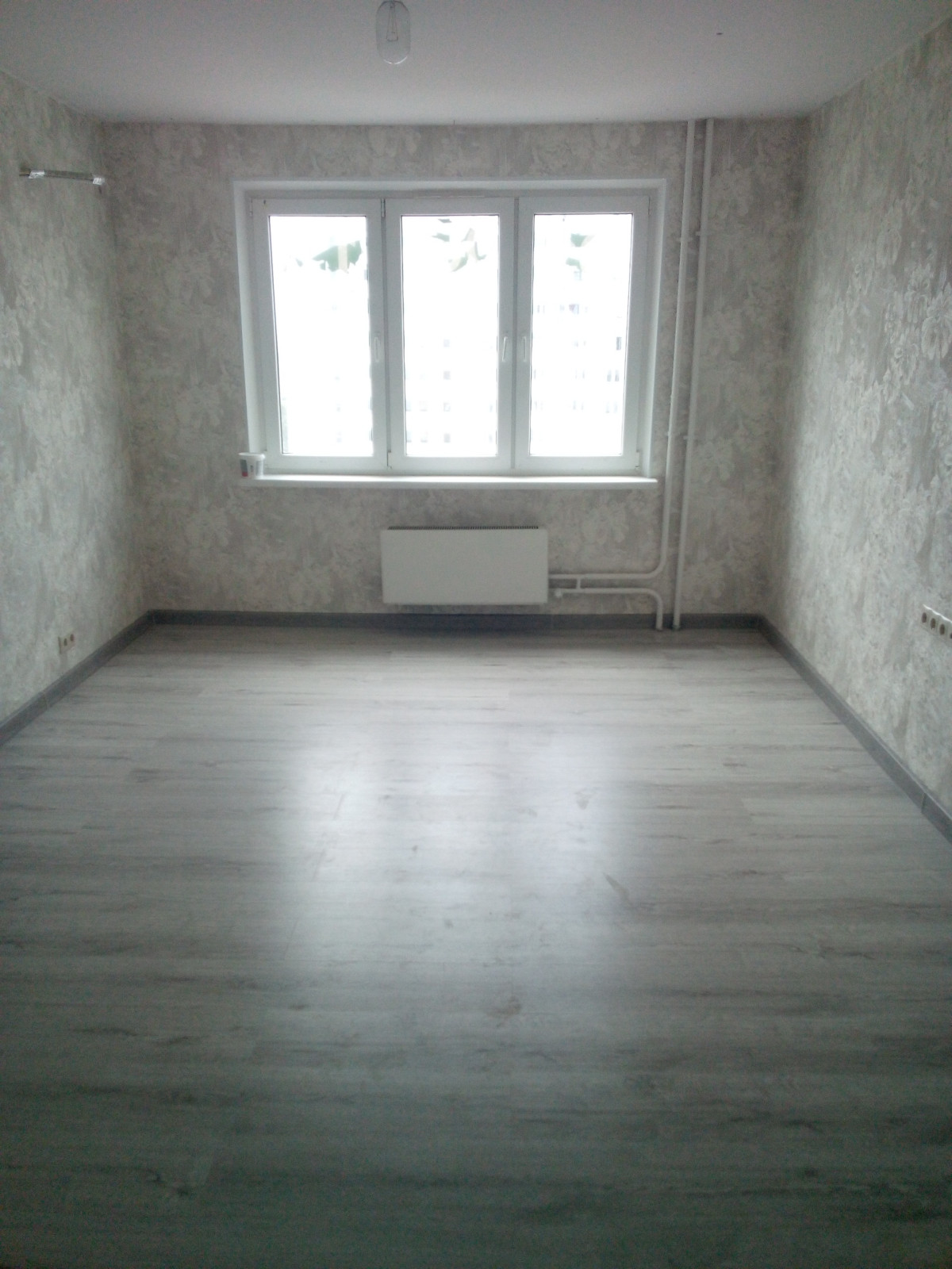 Алексей Новиков