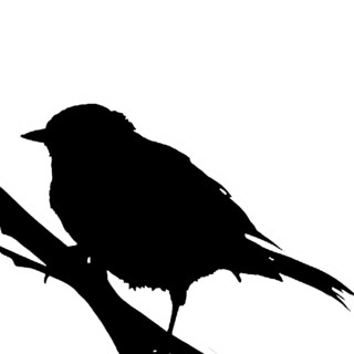 Владимир Воробьев