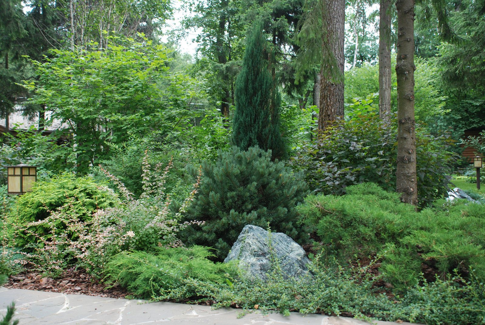 Лесной участок в КП "РИИТА"