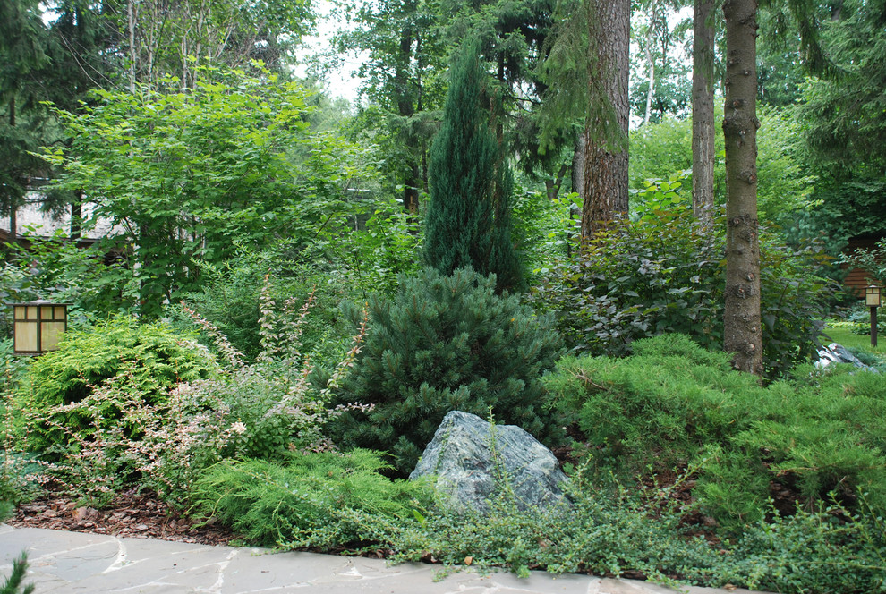 Лесной участок в КП "РИИТА"