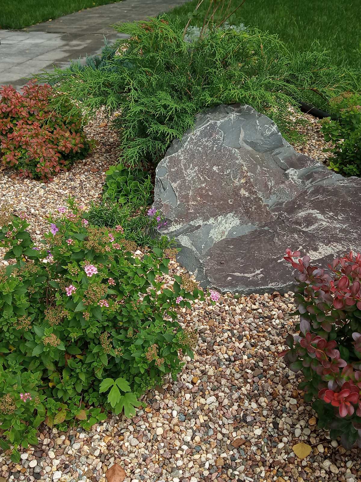 Берёзки и камни