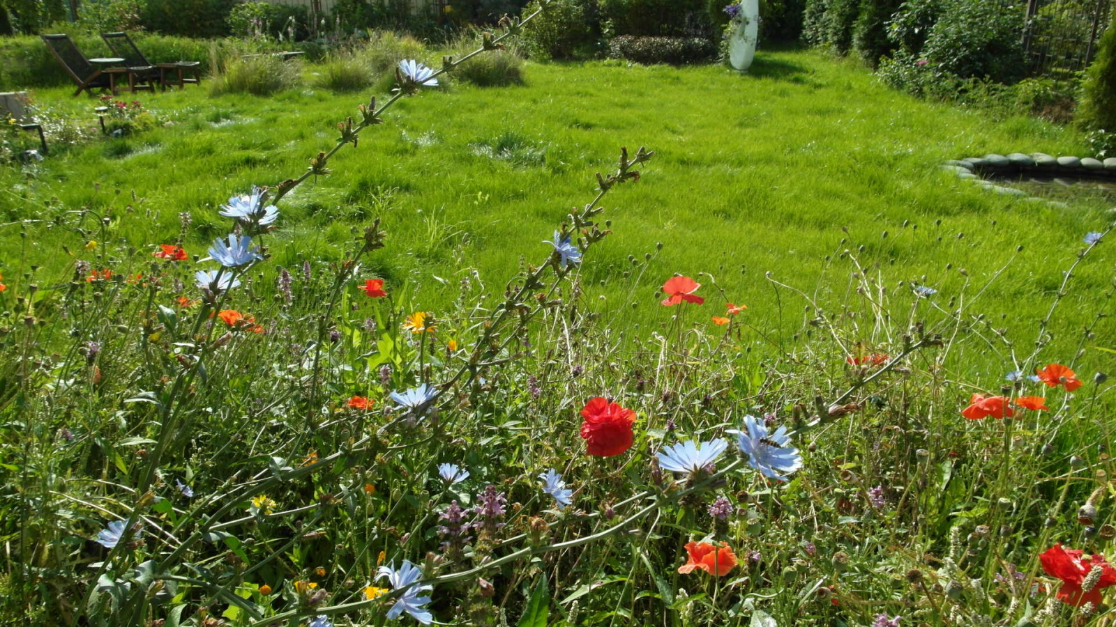 Цветники в природном стиле