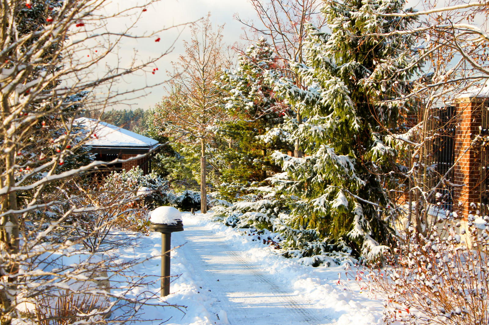 Горки-10, 2017-2020 г.г.