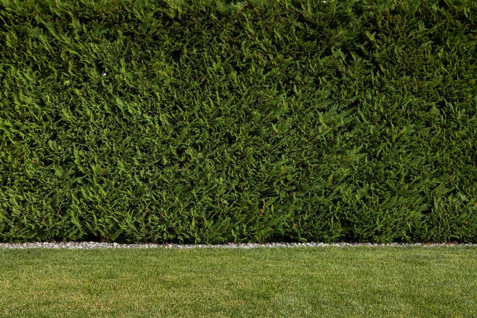 Лазурный Берег Сочи