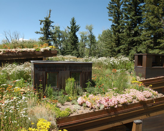 Ландшафтный дизайн на лесном участке