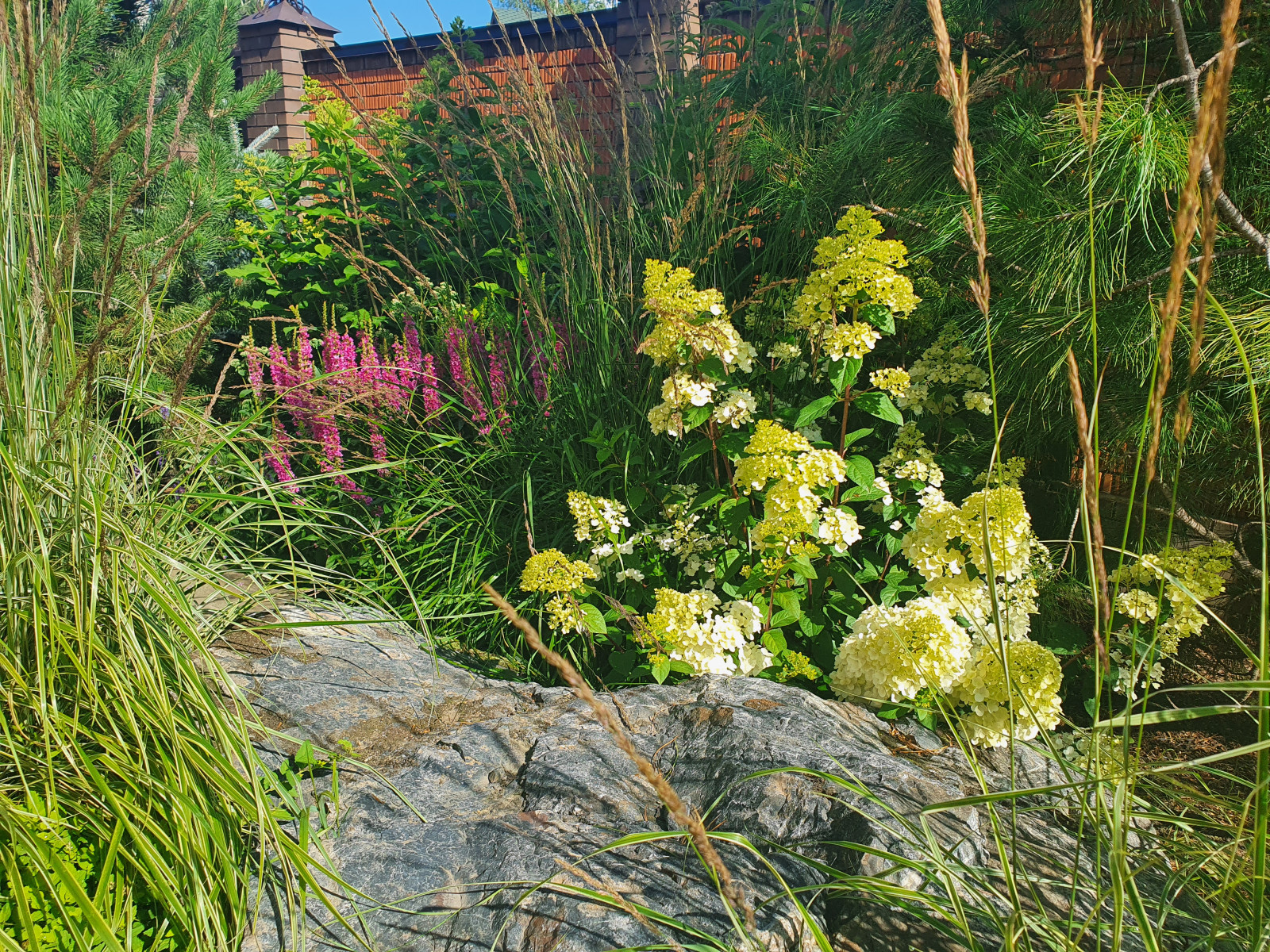 Сад для молодой семьи