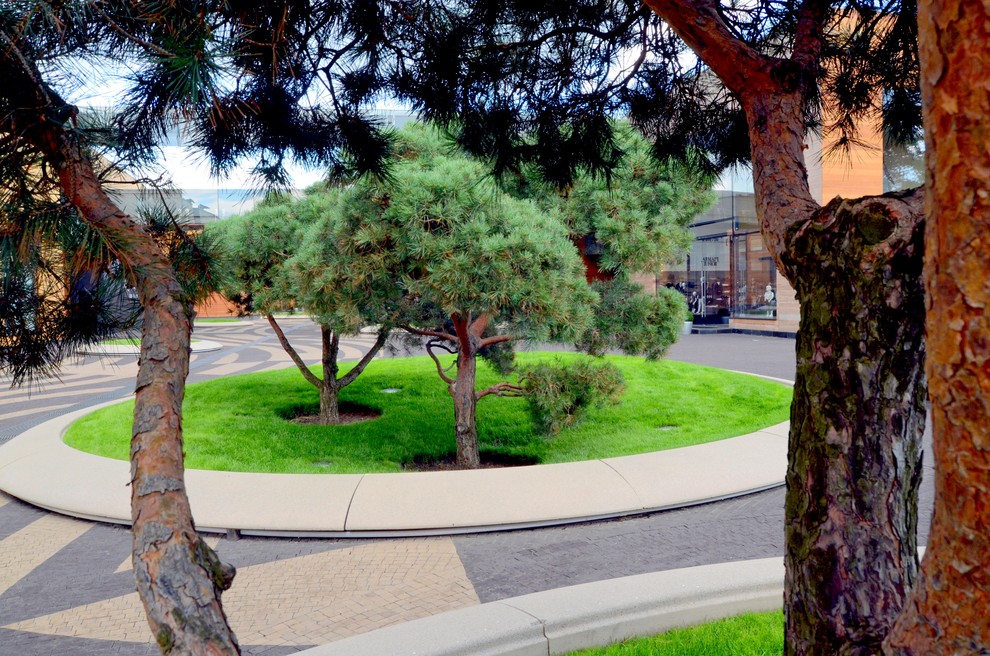 Обложка проекта: Ландшафтный дизайн/ Барвиха Luxury Village