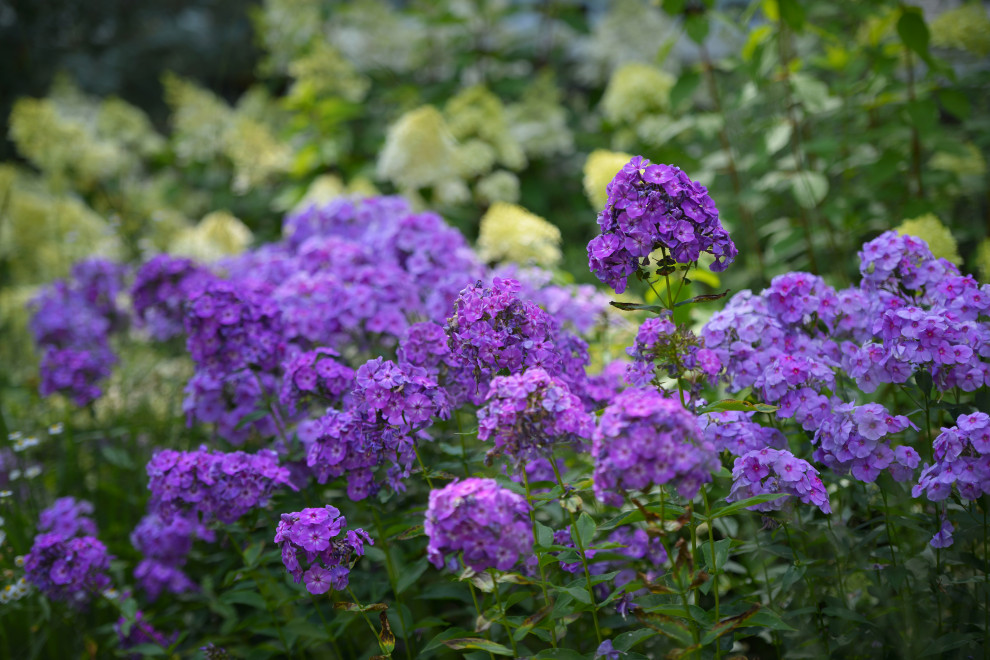 Проект "Волны".Пять лет спустя