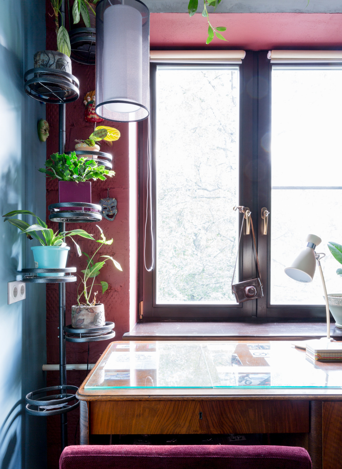 Квартира на Тимирязевской