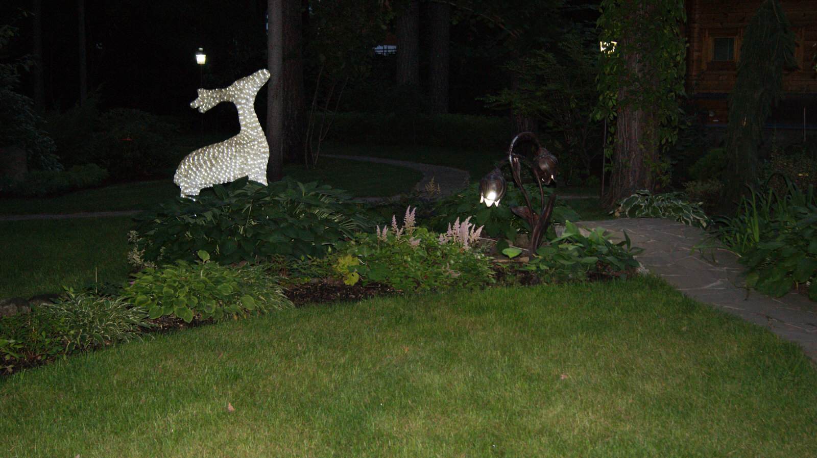 Сосновый бор