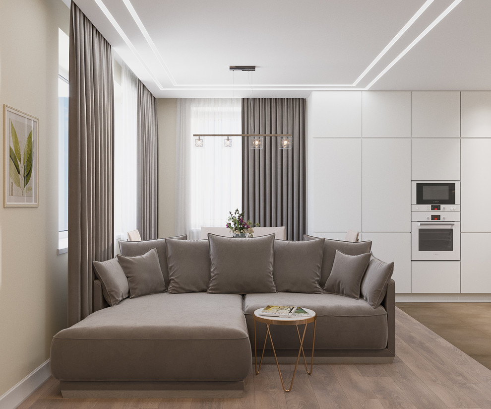 гостиная совмещенная с кухней