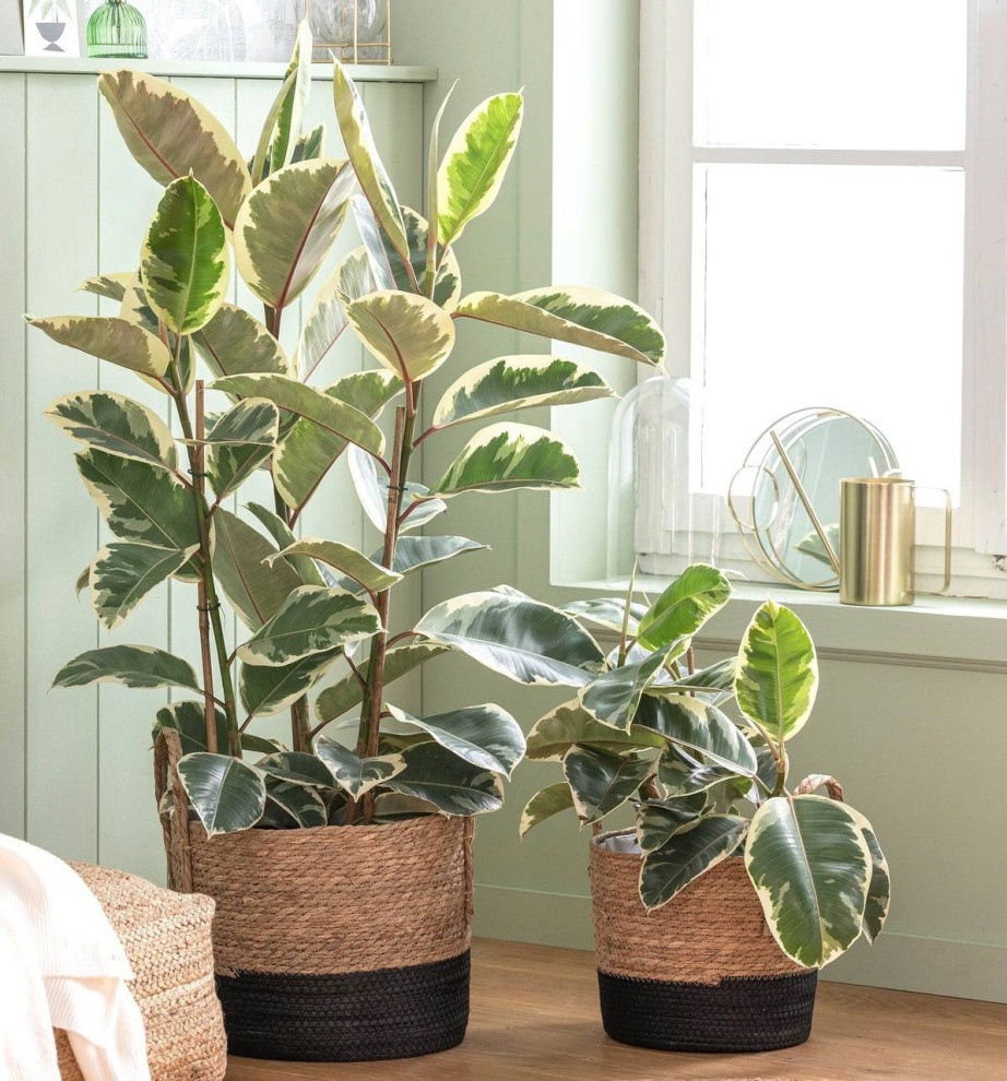 Людмила Рудина