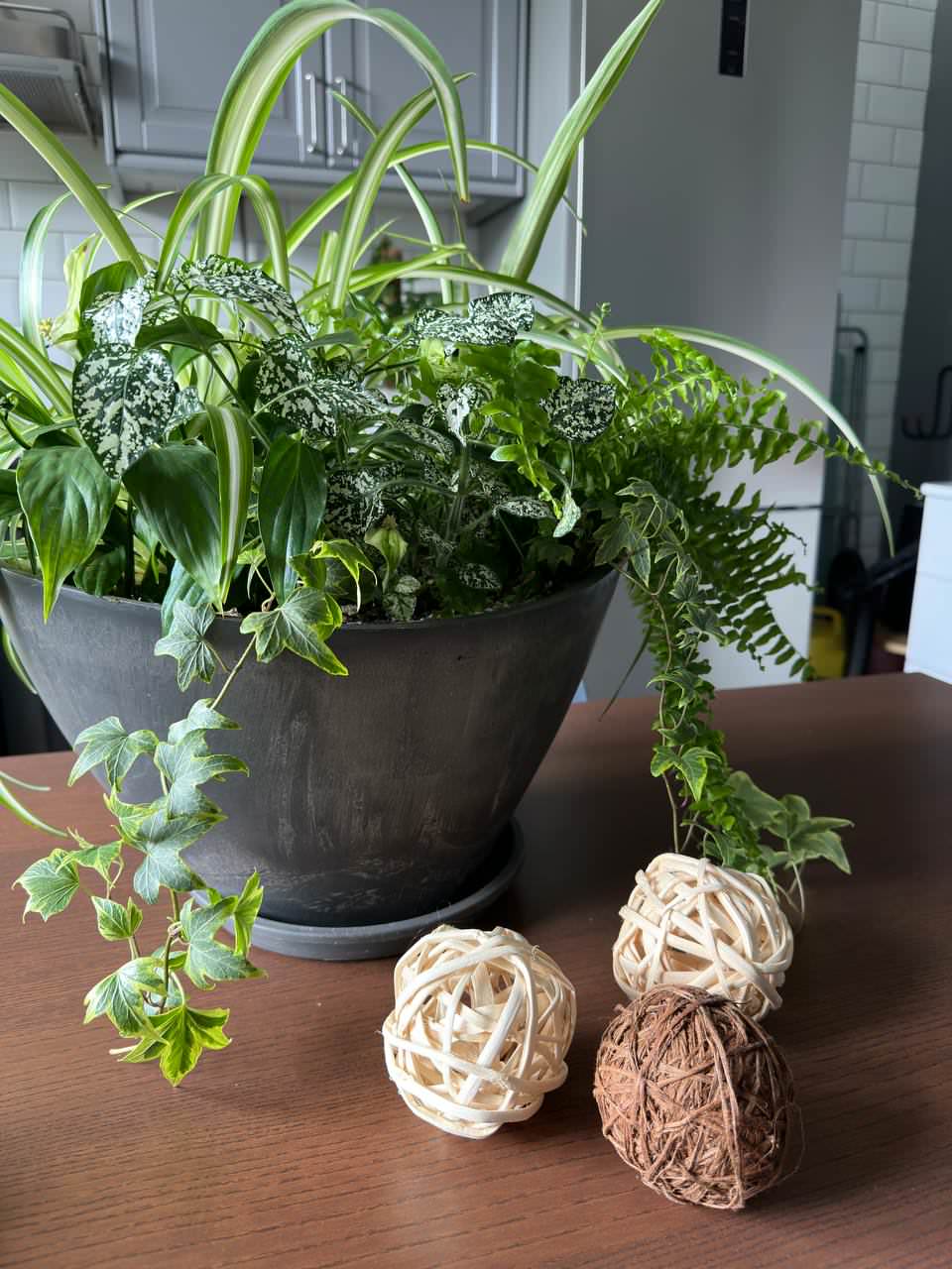 Людмила Лебедева